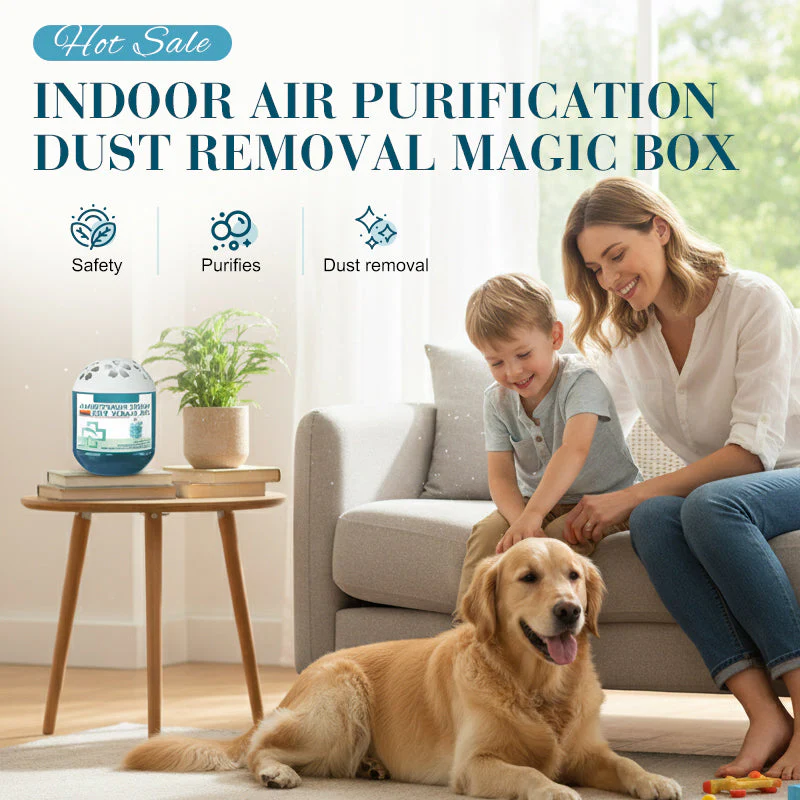 ☀️Limited-Time Pre-Sale⏰Indoor Air Purification Dust Removal Magic Box🏠🌿